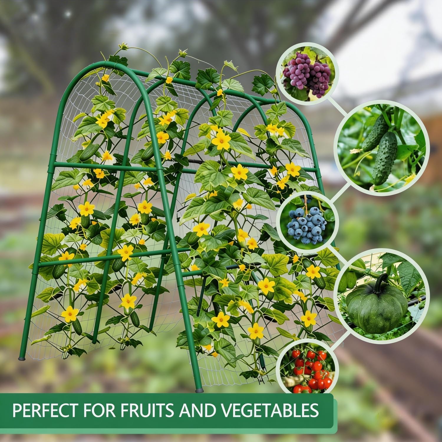 4x5.3FT Garden Arch Trellis fo - огляд і ціна Raised Garden Bed