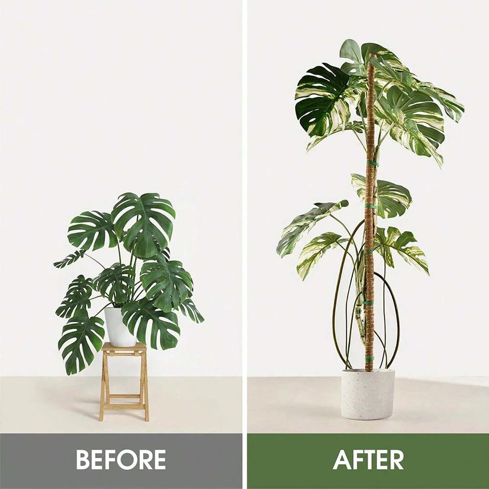 Monstera Plant Moss Pole Suppo - огляд і ціна Indoor Herb Garden