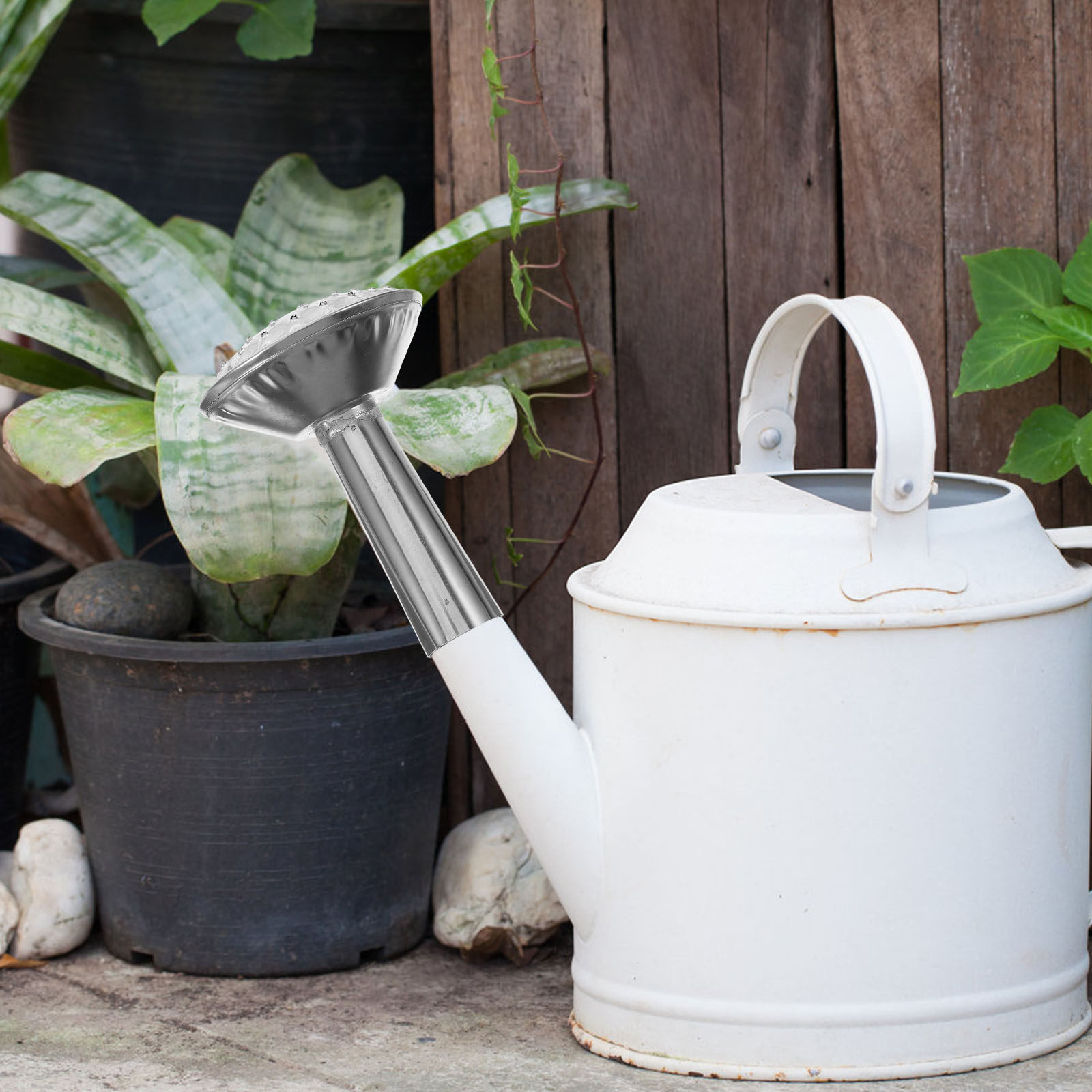 Stainless Steel Watering Can S - огляд і ціна Watering Can