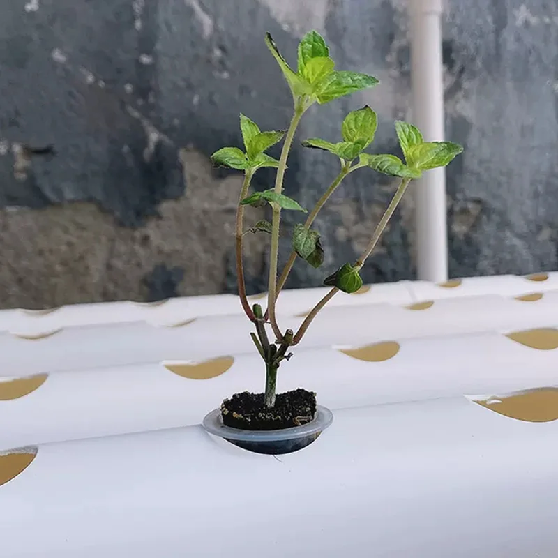 Soilless Growing System Kit, P - огляд і ціна Hydroponic Kit