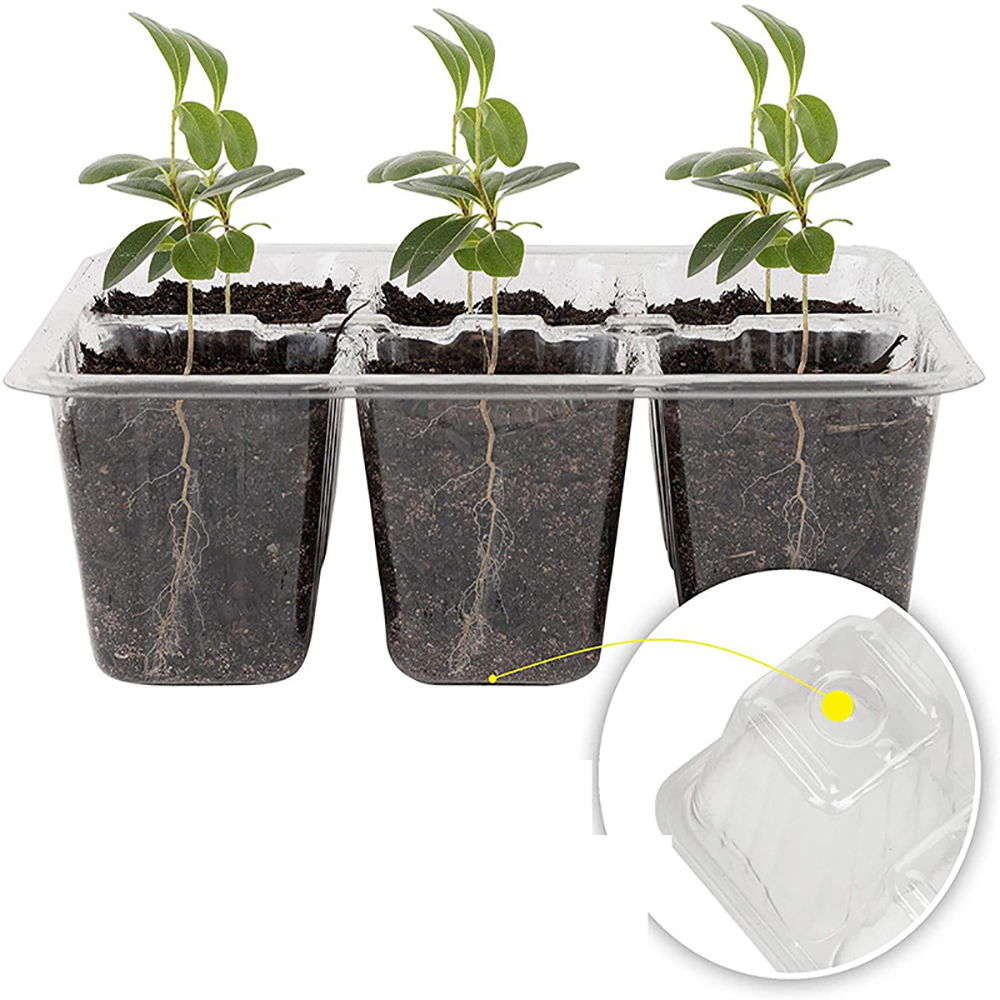 Seed Starter Trays with Grow L - огляд і ціна Seed Starter Tray