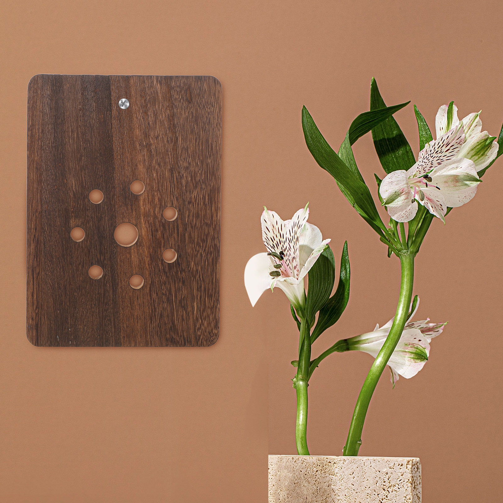 Staghorn Fern Mounting Board S - огляд і ціна Vertical Planter