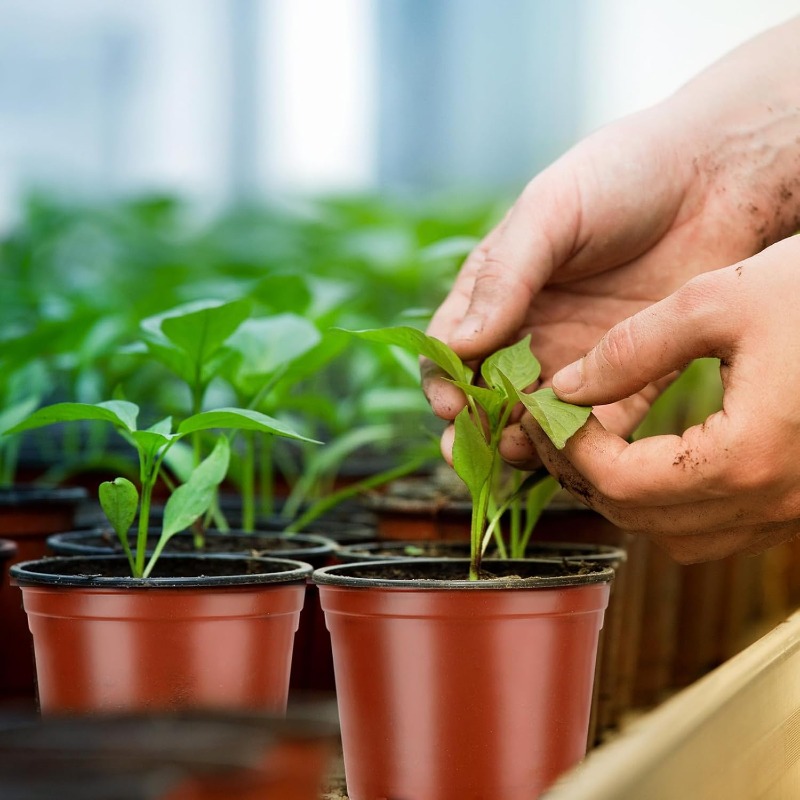 100/20x Seeding Nursery Pot Bl - огляд і ціна Seed Starter Tray